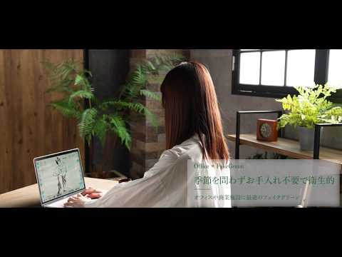 【MAGIQ】Office × FakeGreen