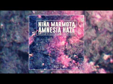 1. Niña Marmota - Want it [Amnesia Haze]