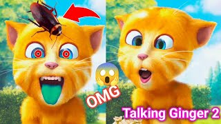 OMG 😱 Talking Ginger  vs COCKROACH 🪳| my talking ginger 2 gameplay | mini game |