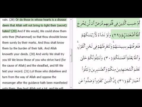 Surah Muhammad PBUH Ayahs #20-38 by Mishary Rashid Alafasy with english translation and audio