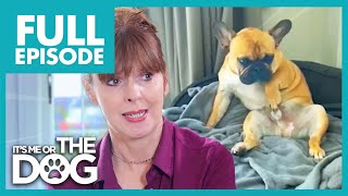 Thumbnail del capítulo