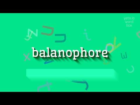 HOW TO PRONOUNCE BALANOPHORE? #balanophore
