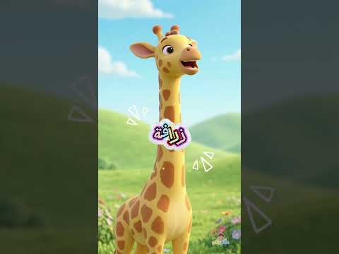 الكبير والصغير 🐘🐜 | تعليم الأطفال بطريقة ممتعة | عالم راكو