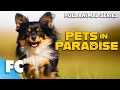 Pets In Paradise (17/26) | Season 2 Episode 04: Hell on Wheels | Full Animal TV Show | FC