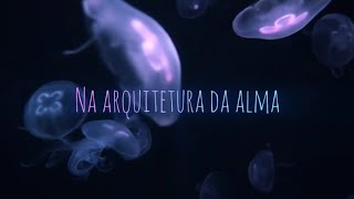 Overture [MV] - Sleeping At Last - TRADUÇÃO (PT-BR)