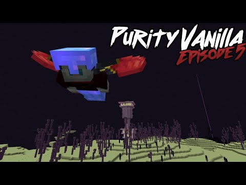 I Got An Elytra On A Minecraft Anarchy Server | Purity Vanilla