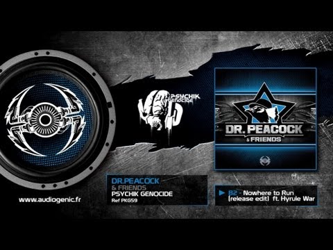 DR.PEACOCK - B2 - Nowhere to Run (release edit) feat.Hyrule War [& FRIENDS - PKG59]