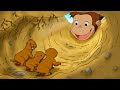 Salvare Le Talpe Curioso Come George Cartoni Per Bambini