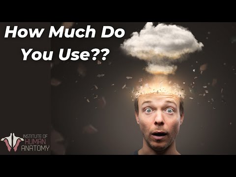 How Much of Your Brain Do You Actually Use