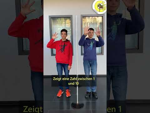 Telepathie Challenge mit Zwillingen I Tigerenten Club #shorts