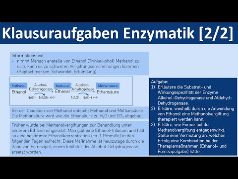 Enzymes / Enzymatics - Exam questions [2 of 2] - [Biology, Upper Secondary Level]