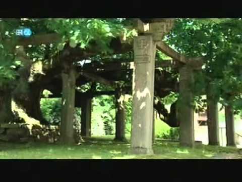 Topographie   Dorflinden Dieter Wieland