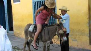 One Way Donkey Ride