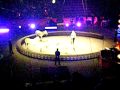 Circus 2010 024 Avi