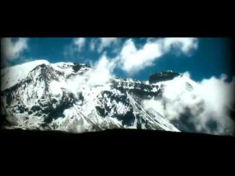 Dj Aligator  Ft. Bijan Mortazavi - Never Forget