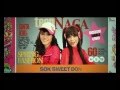 Sinta dan Jojo - Tokek Belang