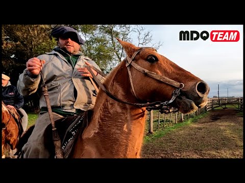 VIDA CAMPESTRE - TRABAJOS RURALES