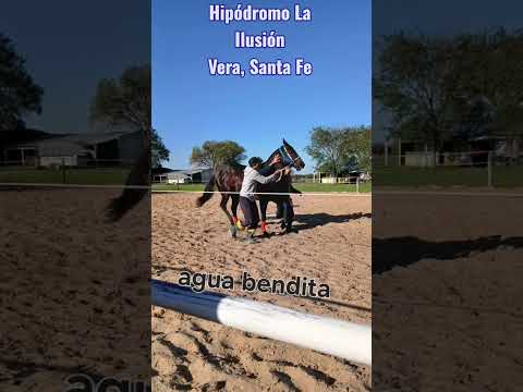 Hipódromo La Ilusión,Vera Sta Fe #amorburrero #pasionburrera #horse #caballos #viral