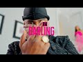 RM Darling Music Video