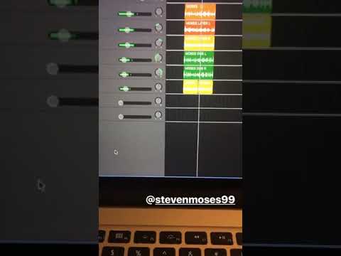 Steven Moses Snippet 2019