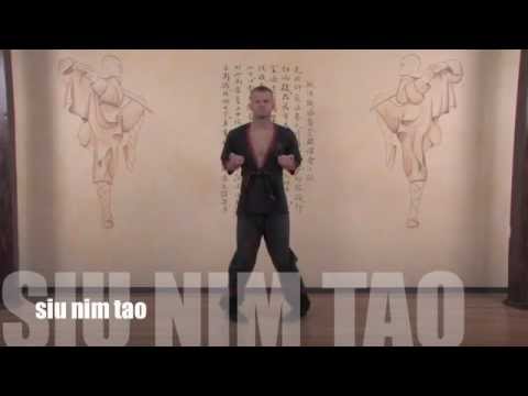 MWTA Sifu Marcin: siu nim tao, 1. Form