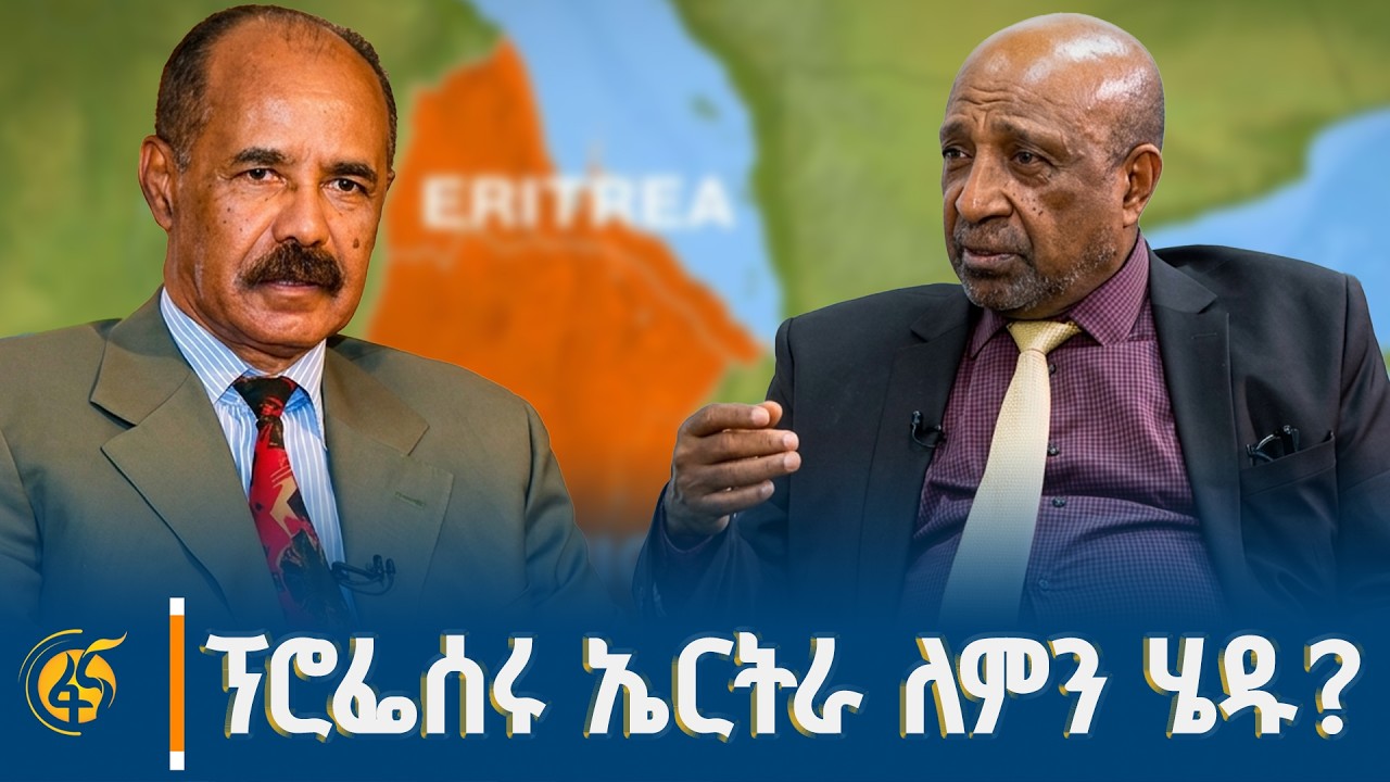 የብርሃኑ ነጋ (ፕ/ር) ምላሽና ማብራሪያ