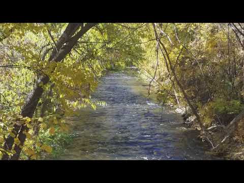 Llego El otoño 2017.   river heights utah