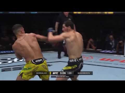 Borralho vs Magomedov  Best Moments #caiobarralho #mma #brasilmma #abusmagomedov