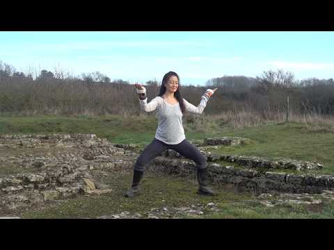 Qigong for the Water Element: Nourishing Practices for Body, Mind and Spirit