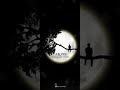 Jo Chand Tumhara Mera Tha