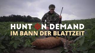 Die  @Hunterfieber Traumblattjagdreise geht weiter 🇵🇱 Teil 3