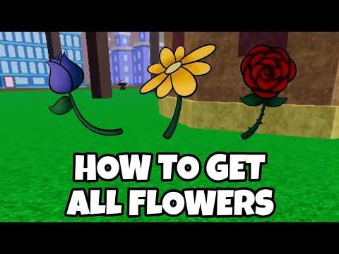 How To Get Race V2 + All Flowers Locations - Blox Fruits Roblox