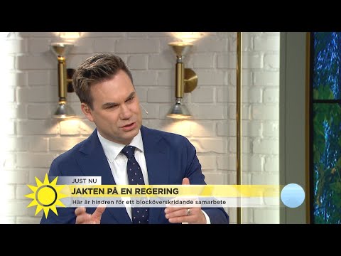Så ska Löfven lyckas locka över allianspartier: ”Blir ett grötigt samarbete” - Nyhetsmorgon (TV4)