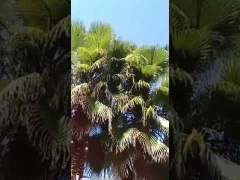 DUEÑA DE OTRO INFIERNO 💔💔..?? NADIR VIDEO OFICIAL