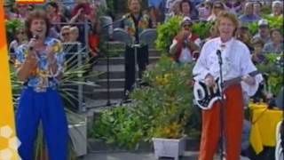 Die Flippers - Hit-Medley