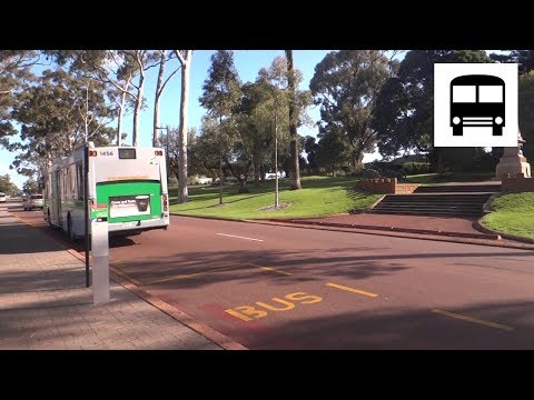 Mercedes-Benz OC500LE Diesel (ZF EcoLife) - Departing from Bus Stop (Transperth Buses Route 37)