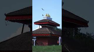 Download lagu shikhali / shreekali mp3