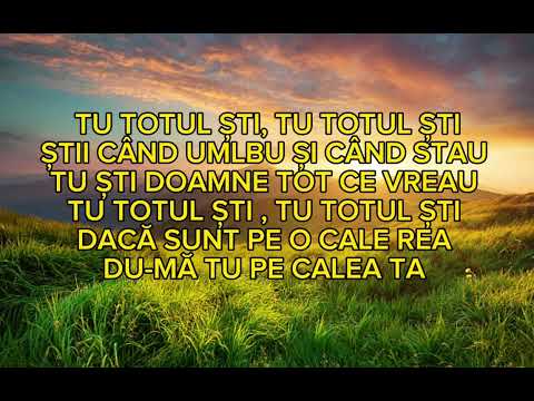 Pavel Dinescu - TU TOTUL ȘTII  (Cover Biji din Bărbulessti )  2024