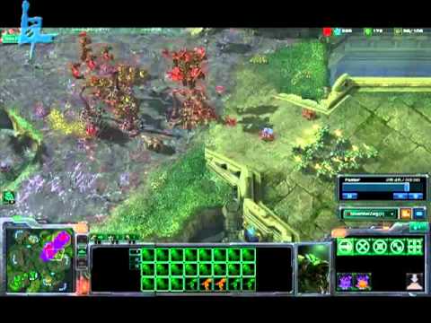 Lzuruha.com - November vs Greed Pt. 2