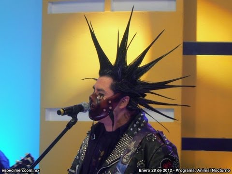 ESPECIMEN - Manicomio años luz - Animal Nocturno