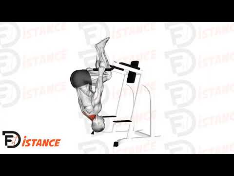 Exercice Shrug inversé sur barres parallèles