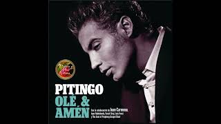 Pitingo: Ole Y Amen (2010) Y Dios Nos Ayudara (feat. Luis Fonsi)