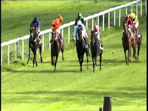 Galopprennbahn Dresden - 27.09.2014 - 3.Rennen