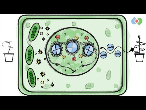 Changing the Game in Epigenetics | The Symbiotic Podcast Live