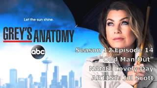 Grey&#39;s Anatomy Soundtrack - &quot;Lovely Day&quot; by Jill Scott (12x14)