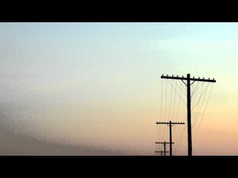 Synthetic Epiphany - Endless Skies