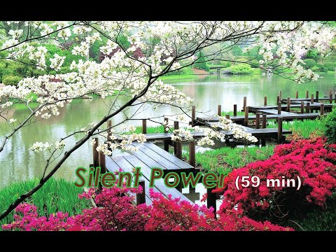 Stuart Wilde Silent Power (original version). More powerful info on the human ego and...