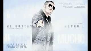 EL KOMANDER-ME GUSTAS MUCHO(EN VIVO ZAPOPAN)