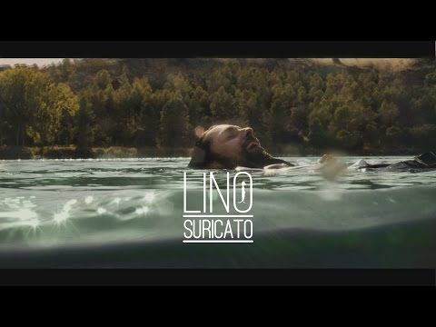 Lino Suricato - Loco por vivir (Videoclip oficial)