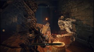 Elden Ring Co-op on the adventure to the erdtree